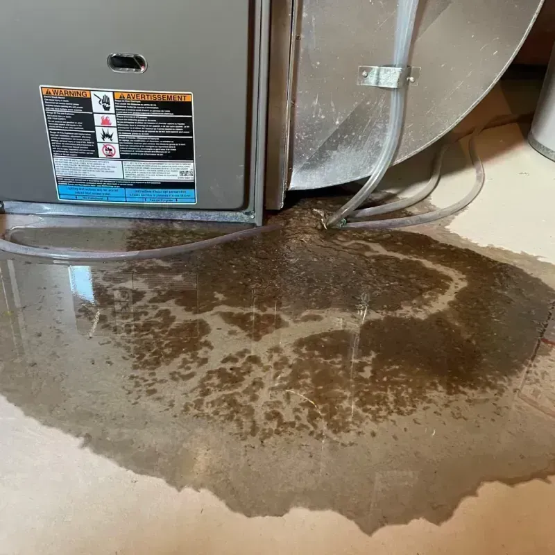 Appliance Leak Cleanup in Perry County, MO